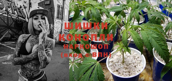 прущие грибы Козельск