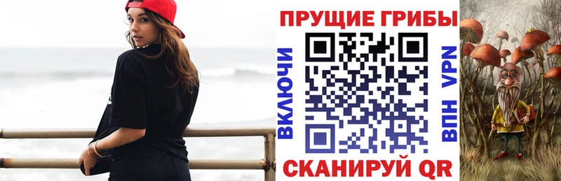 Купить где  Заволжск  Галлюциногенные грибы Magic Shrooms 