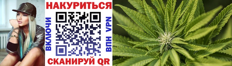 Шишки марихуана SATIVA & INDICA  Купить закладки  Заволжск 